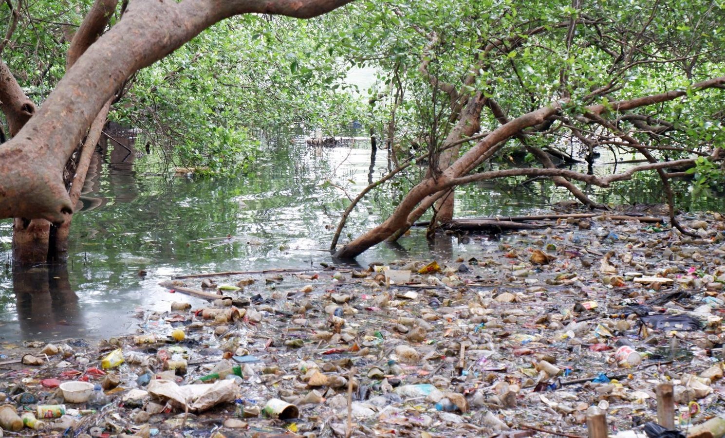 Menekan Laju Ancaman Penyebaran Polusi Plastik di Pesisir Pantai Indonesia